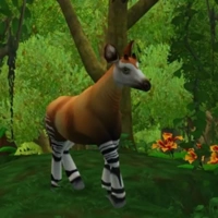 Okapi