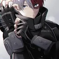 Shoto todoroki